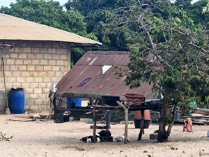 20251223_105922 (Kopiowanie).jpg