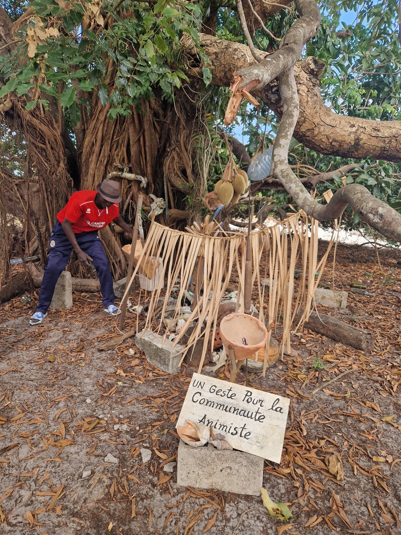 20251223_110158 (Kopiowanie).jpg