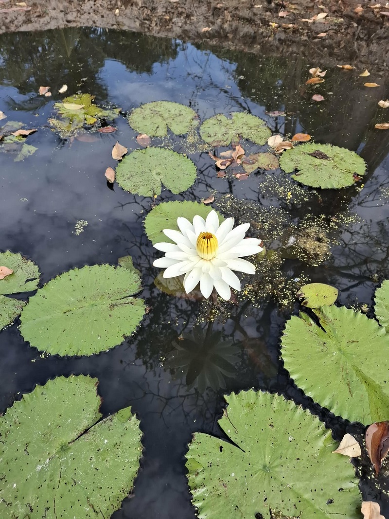 55f08540-51c9-46ac-9d85-2bf8153ce47c (Kopiowanie).jpg