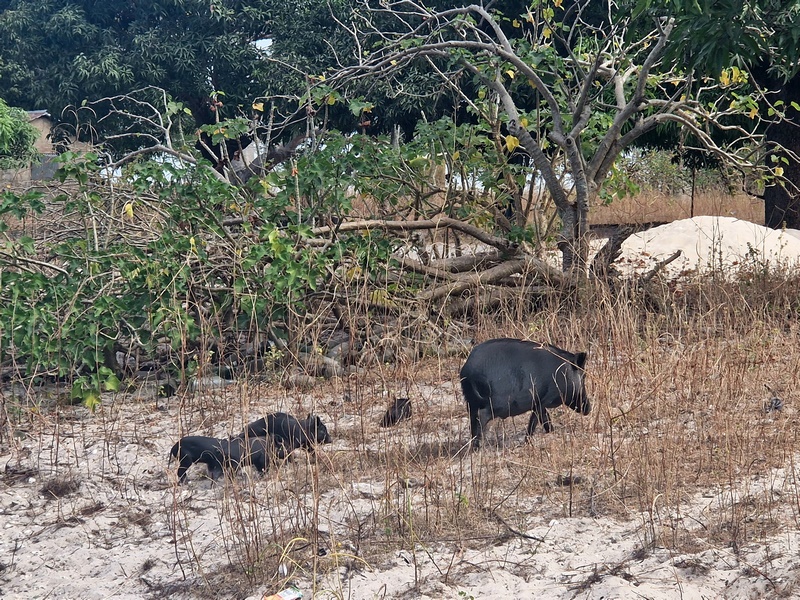 20251223_110643 (Kopiowanie).jpg