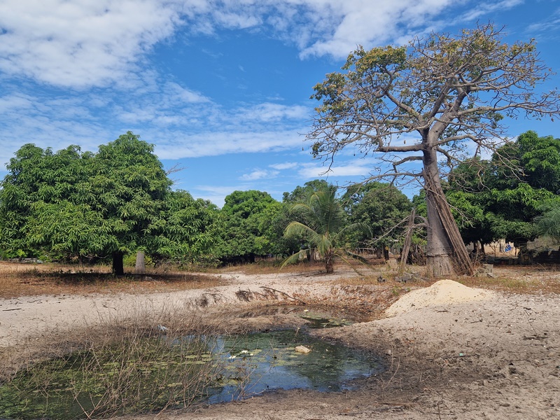 20251223_110700 (Kopiowanie).jpg