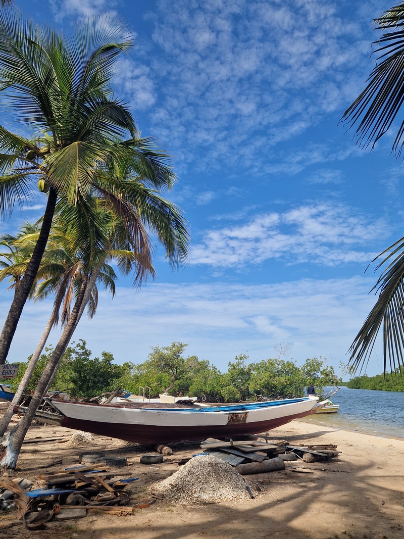 20251223_111753 (Kopiowanie).jpg