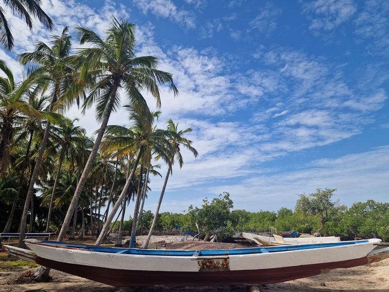 20251223_111821 (Kopiowanie).jpg