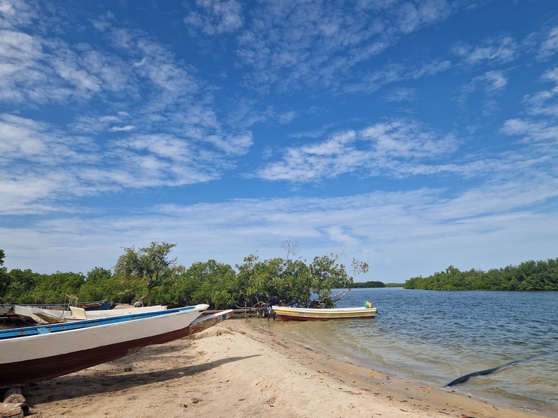 20251223_111825 (Kopiowanie).jpg