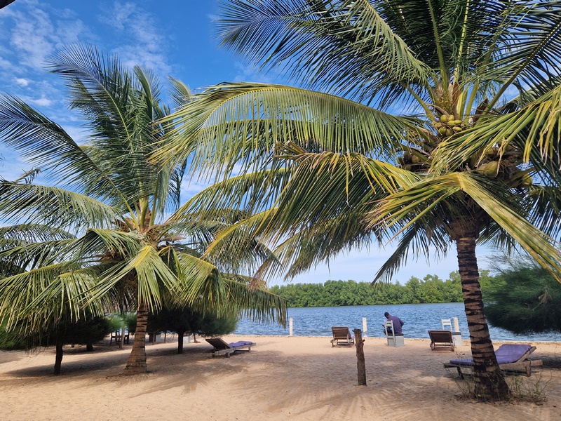 20251223_112405 (Kopiowanie).jpg