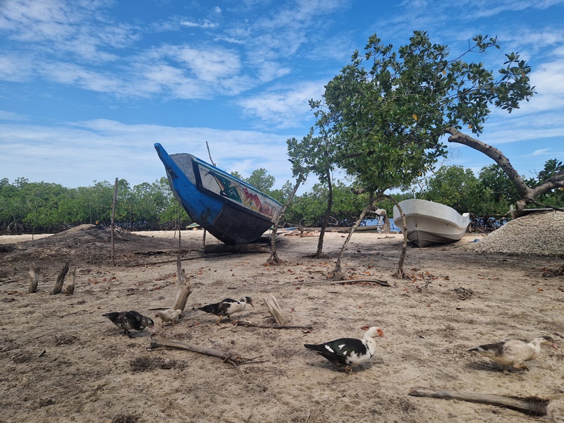 20251223_113010 (Kopiowanie).jpg