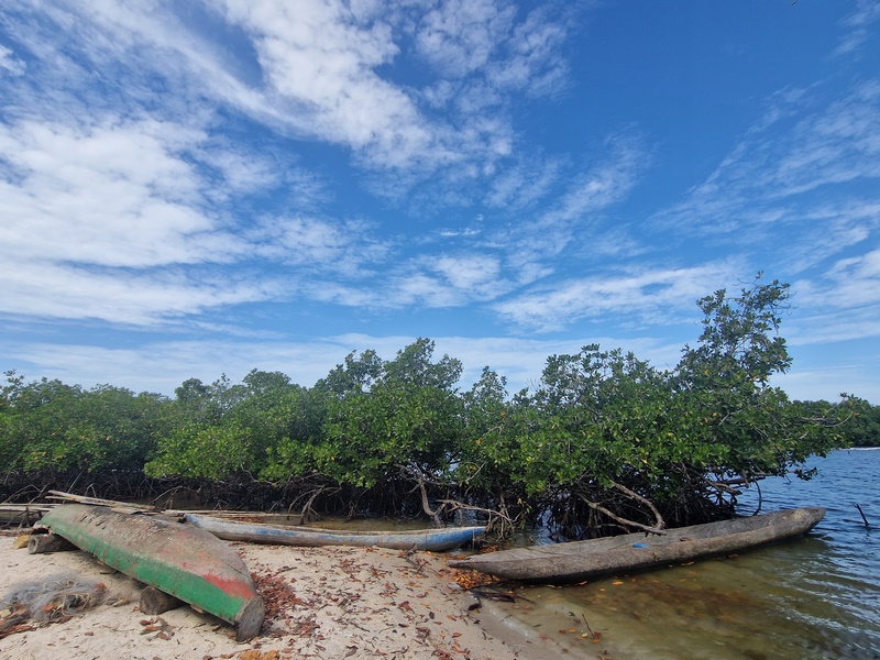 20251223_113054 (Kopiowanie).jpg