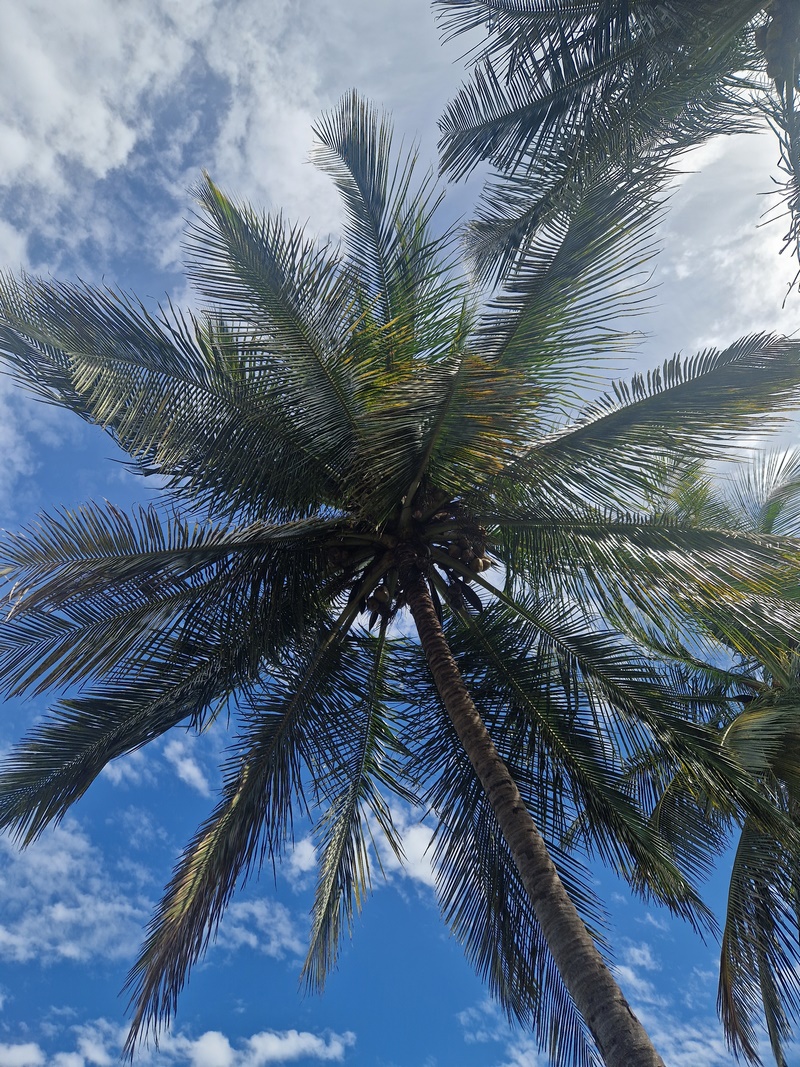 20251223_120440 (Kopiowanie).jpg