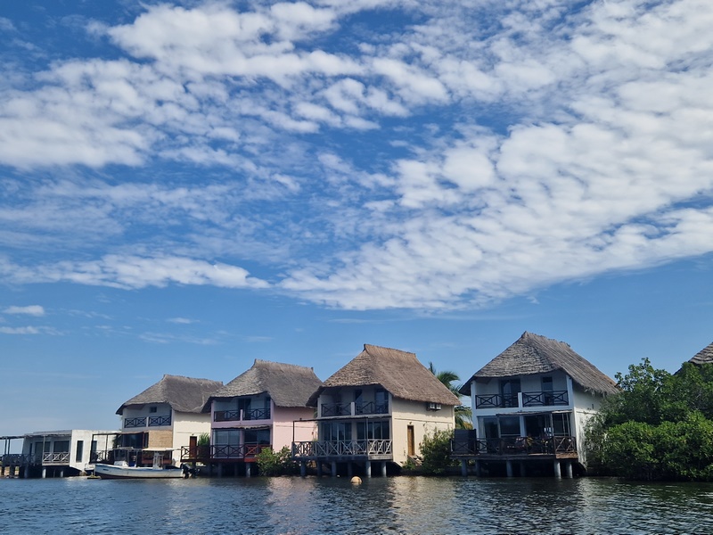 20251223_123919 (Kopiowanie).jpg