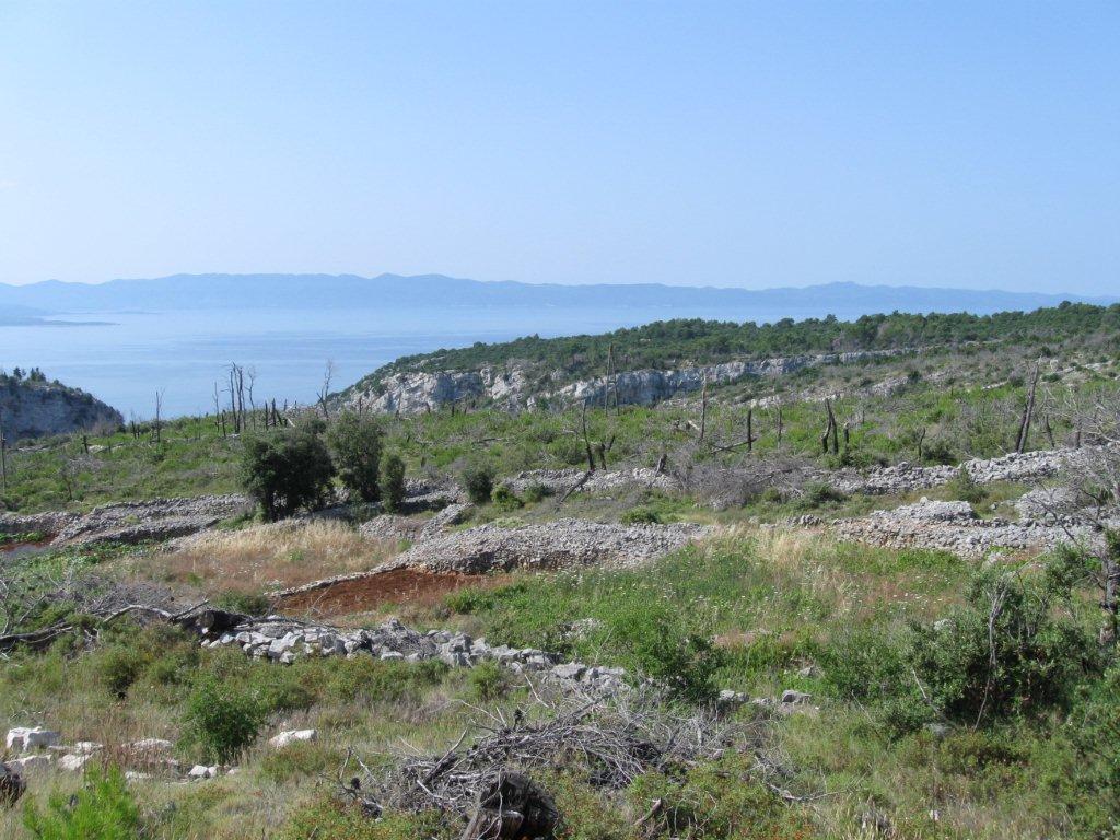 Chorwacja 2008 504.jpg