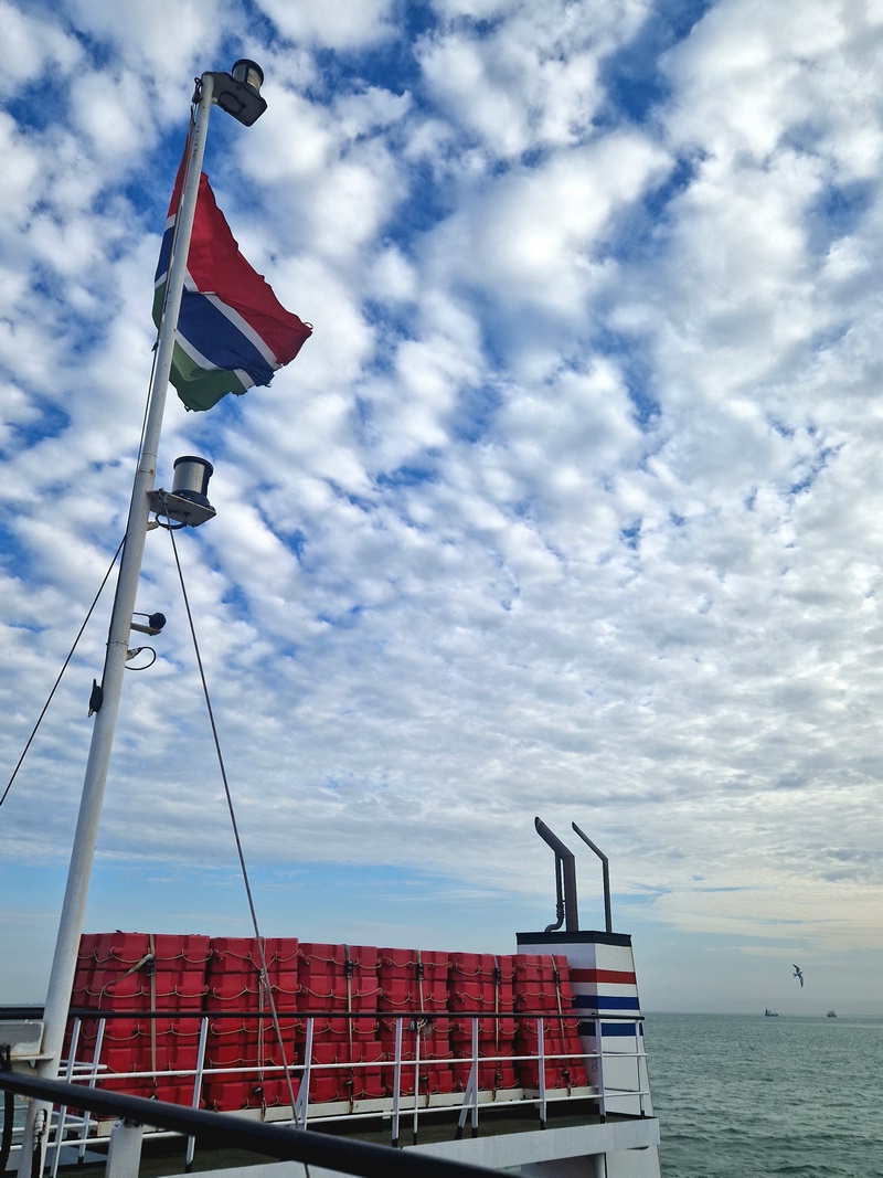 20251224_172830 (Kopiowanie).jpg