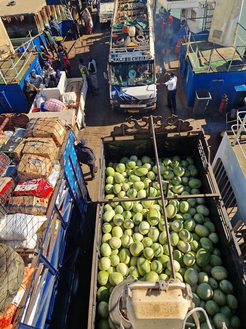 20251226_100545 (Kopiowanie).jpg