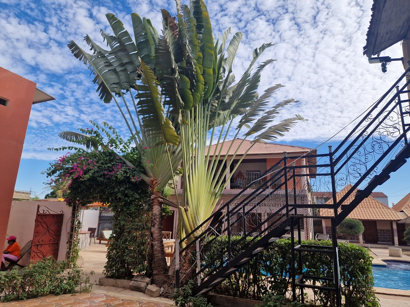 20251225_162608 (Kopiowanie).jpg