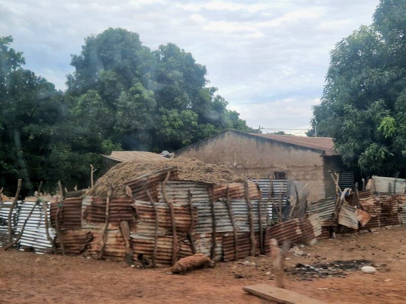 20251224_181309 (Kopiowanie).jpg