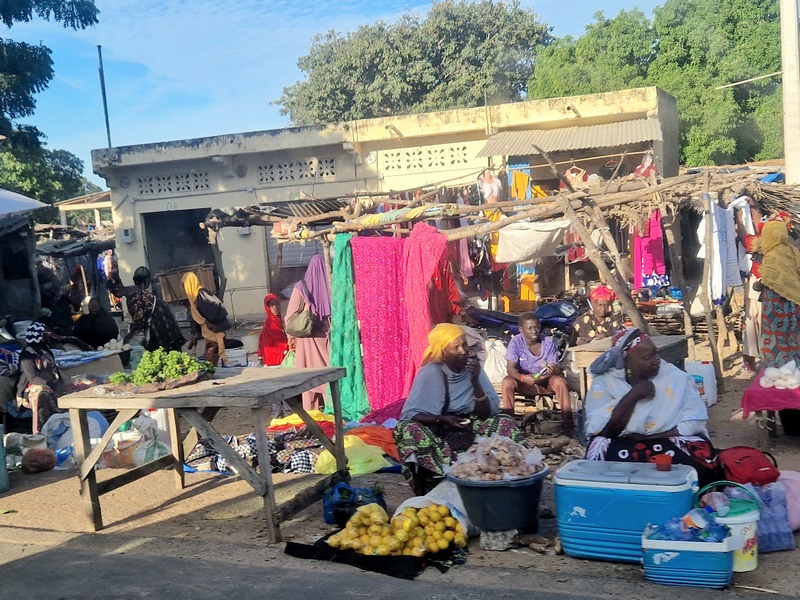 20251225_084546 (Kopiowanie).jpg