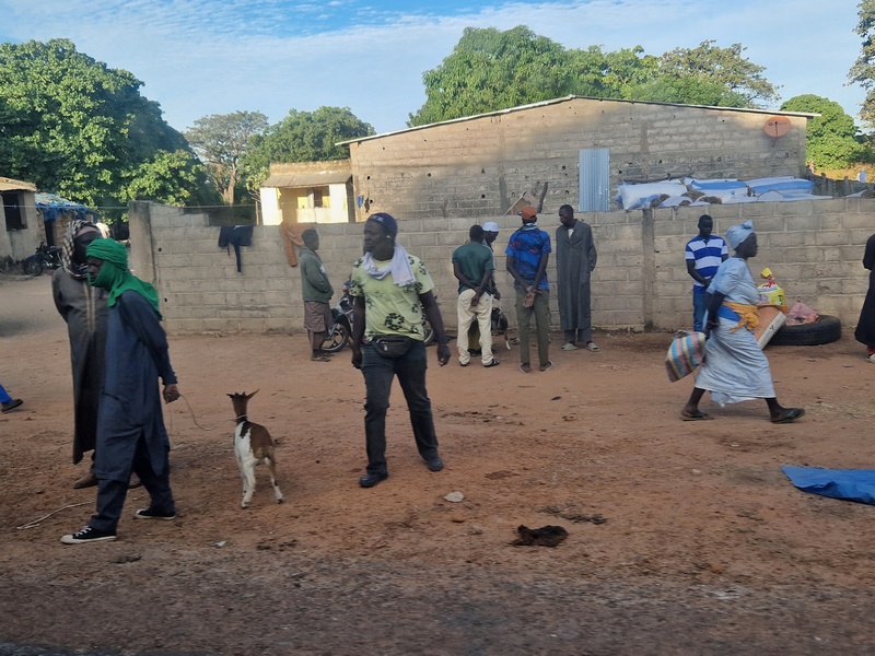 20251225_084551 (Kopiowanie).jpg