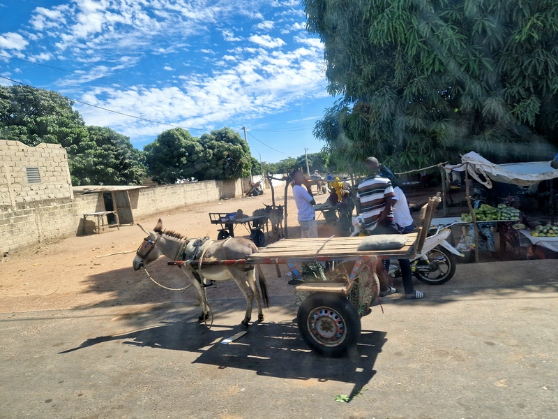 20251225_122335 (Kopiowanie).jpg