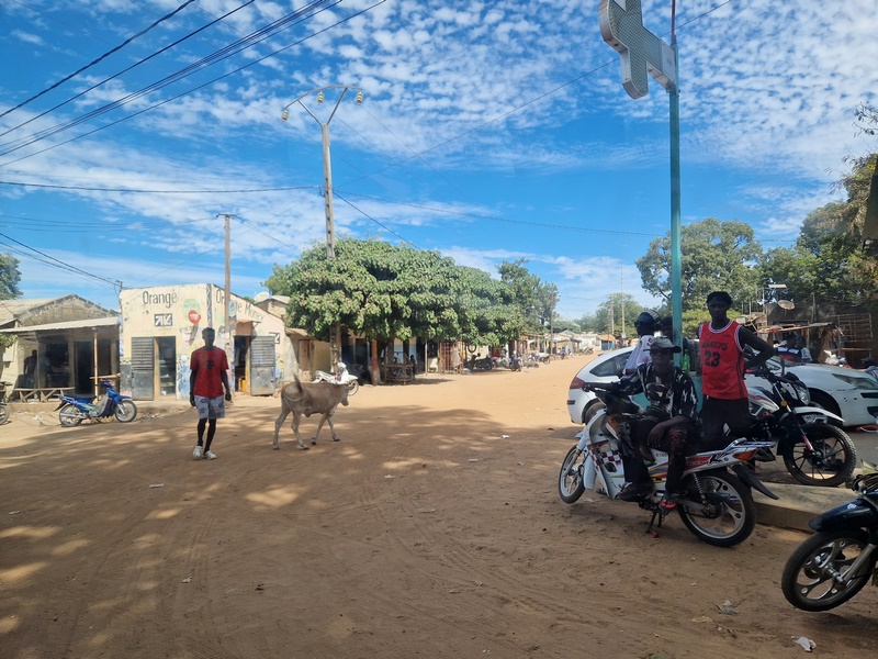 20251225_123501 (Kopiowanie).jpg