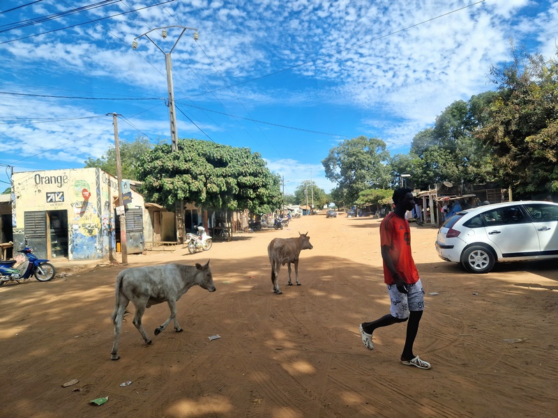 20251225_123503 (Kopiowanie).jpg