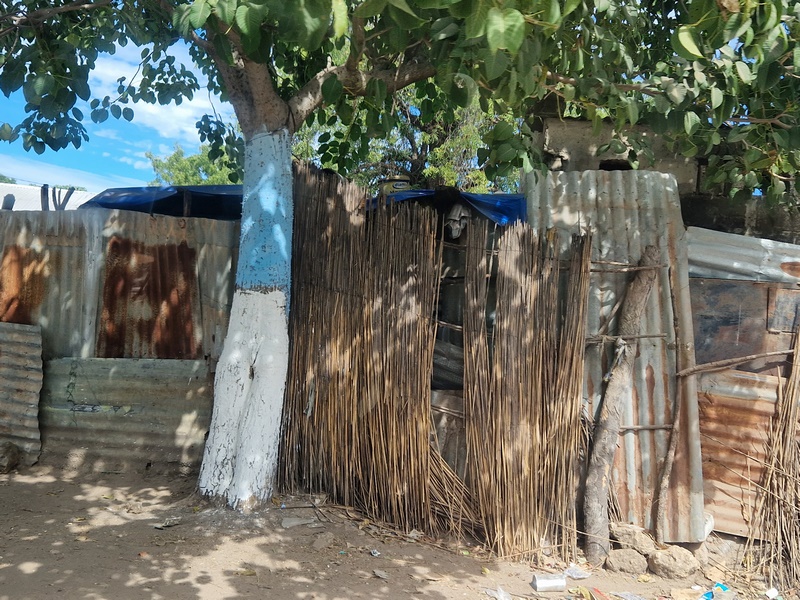 20251225_123705 (Kopiowanie).jpg