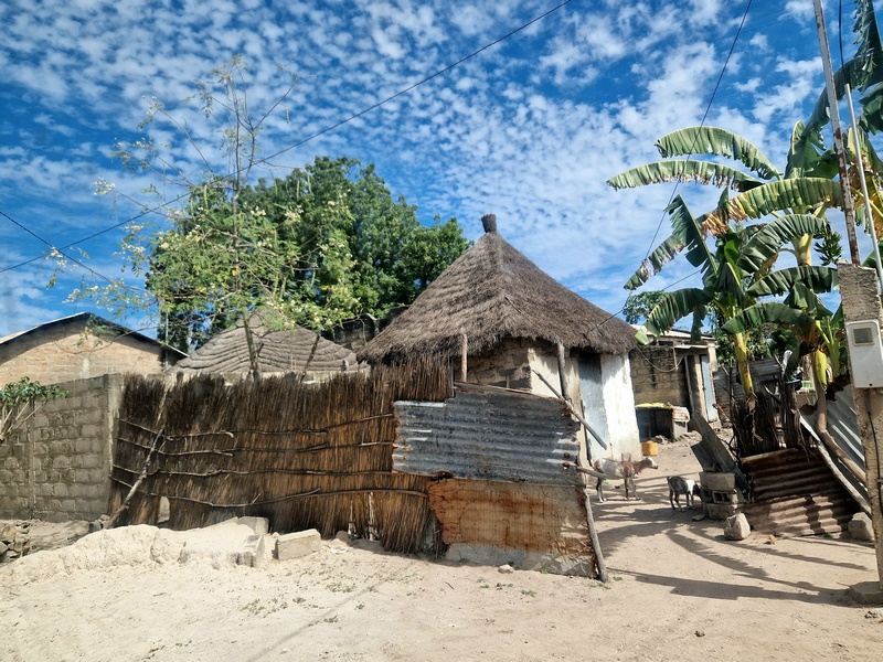 20251225_123802 (Kopiowanie).jpg