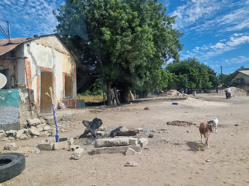 20251225_123821 (Kopiowanie).jpg