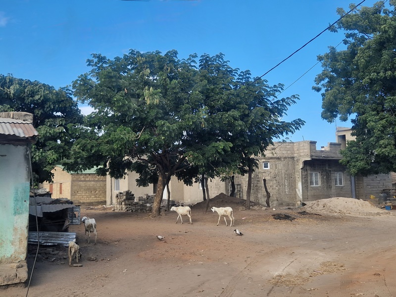 20251225_165920 (Kopiowanie).jpg