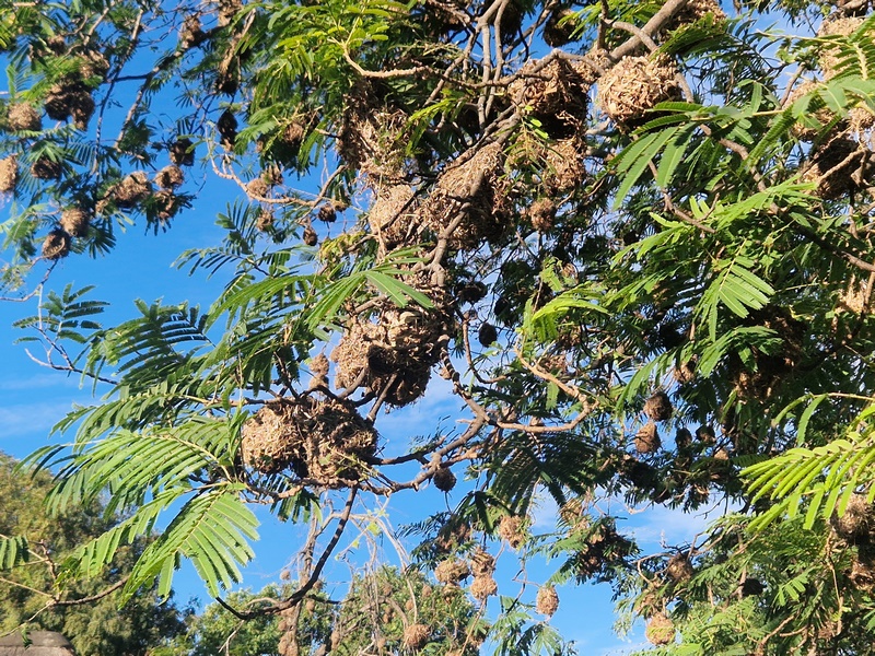 20251225_085816 (Kopiowanie).jpg