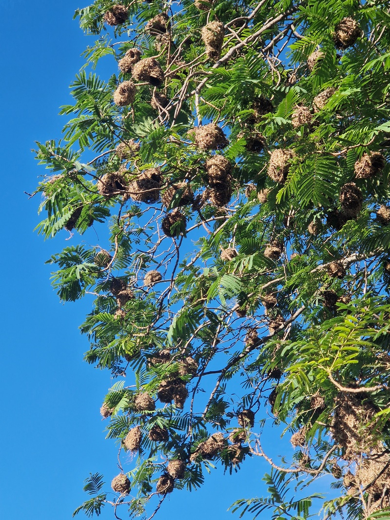 20251225_085825 (Kopiowanie).jpg