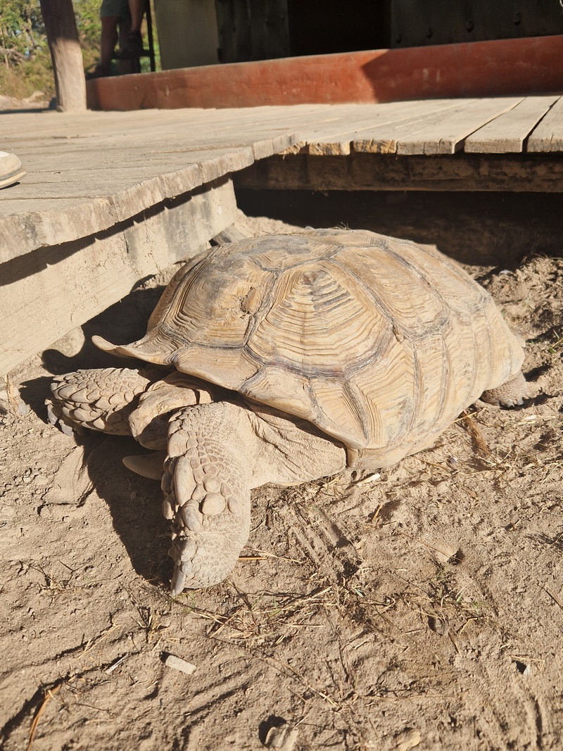 20251225_090139 (Kopiowanie).jpg