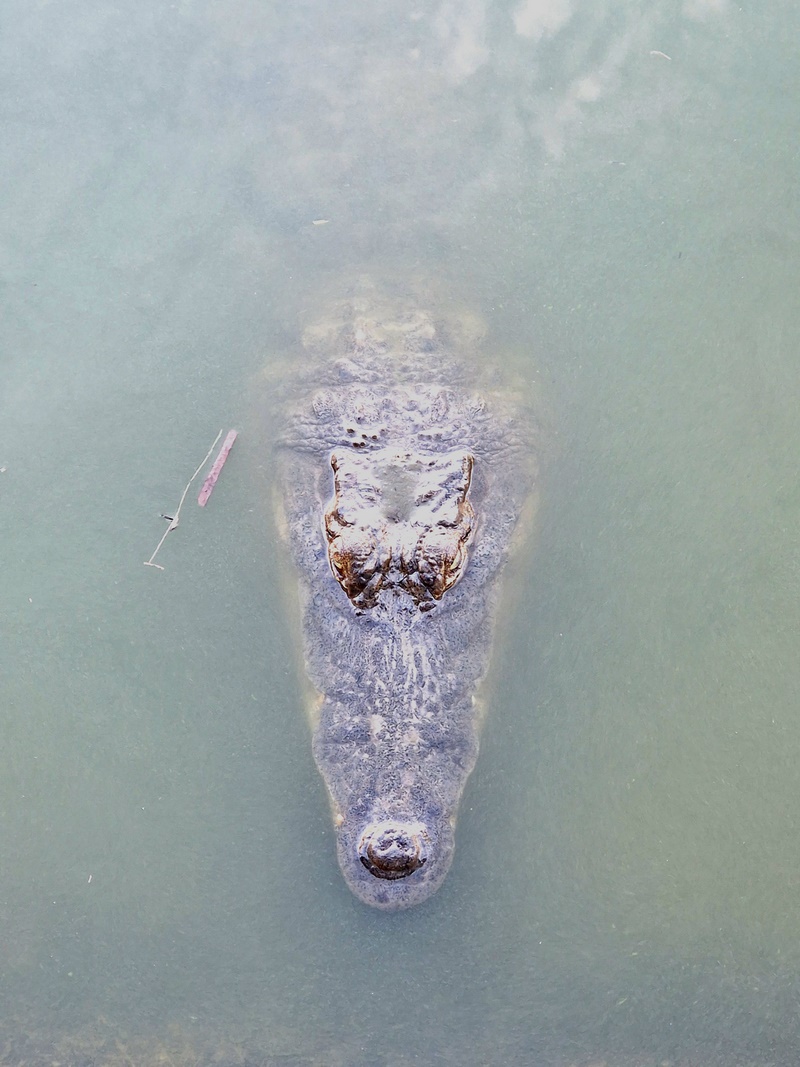 20251225_091428 (Kopiowanie).jpg