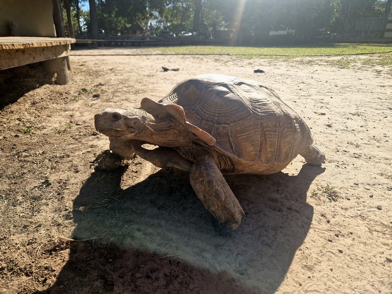 20251225_101457 (Kopiowanie).jpg