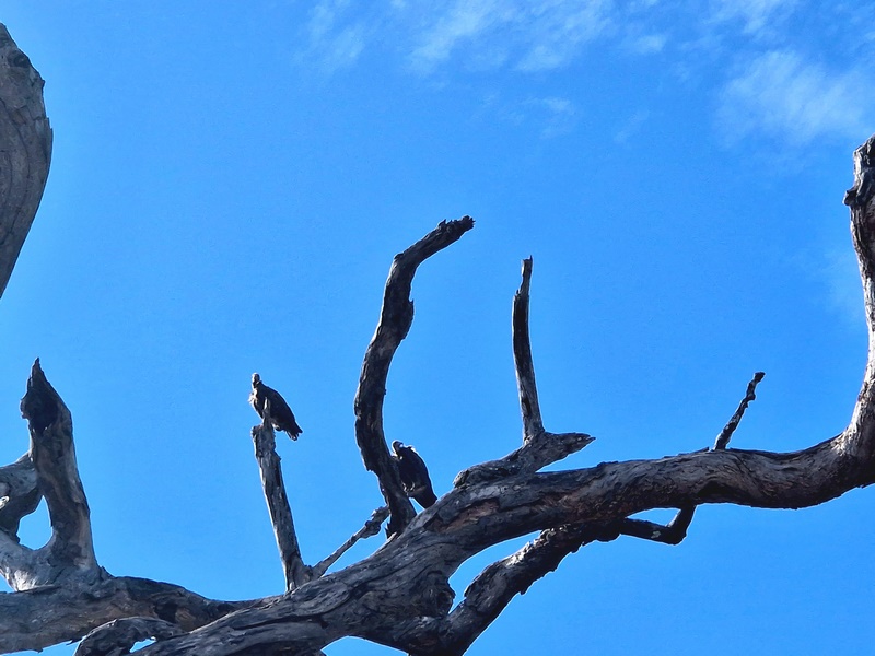 20251225_102544 (Kopiowanie).jpg