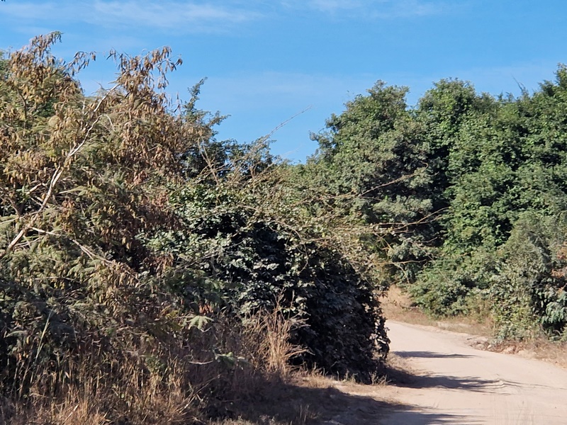 20251225_102551 (Kopiowanie).jpg