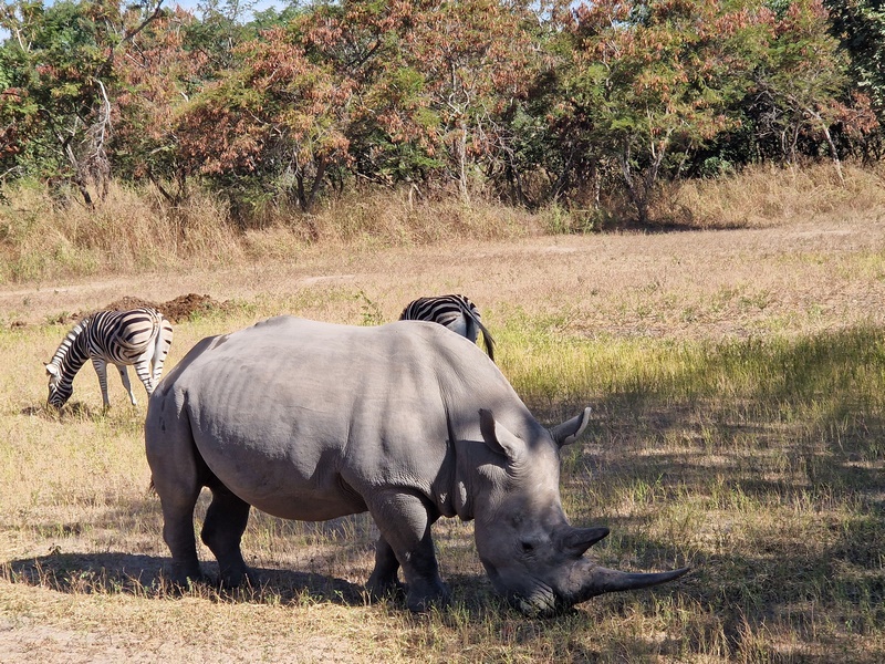 20251225_103218 (Kopiowanie).jpg