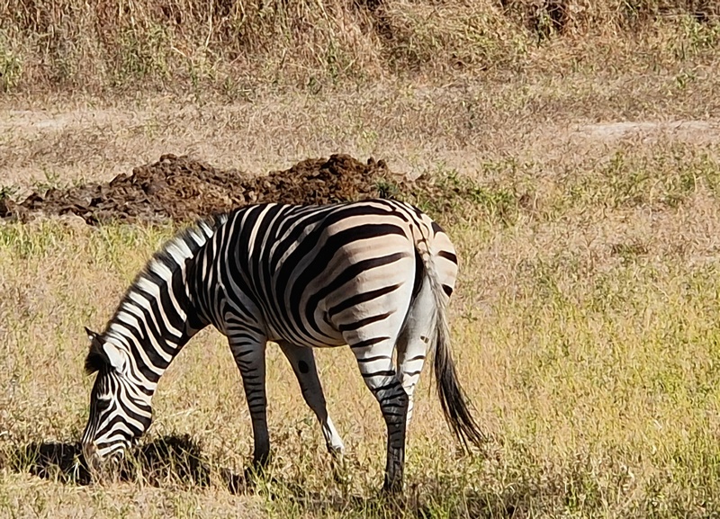 20251225_103232 (Kopiowanie).jpg