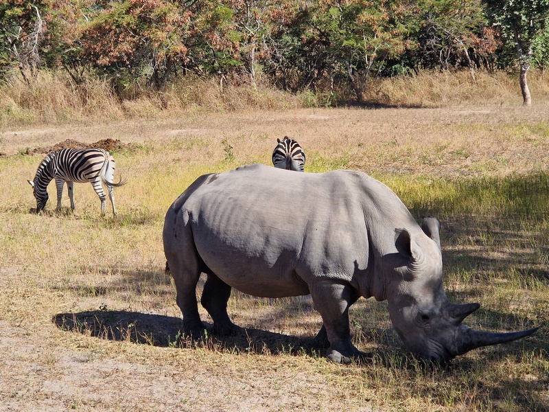 20251225_103246 (Kopiowanie).jpg