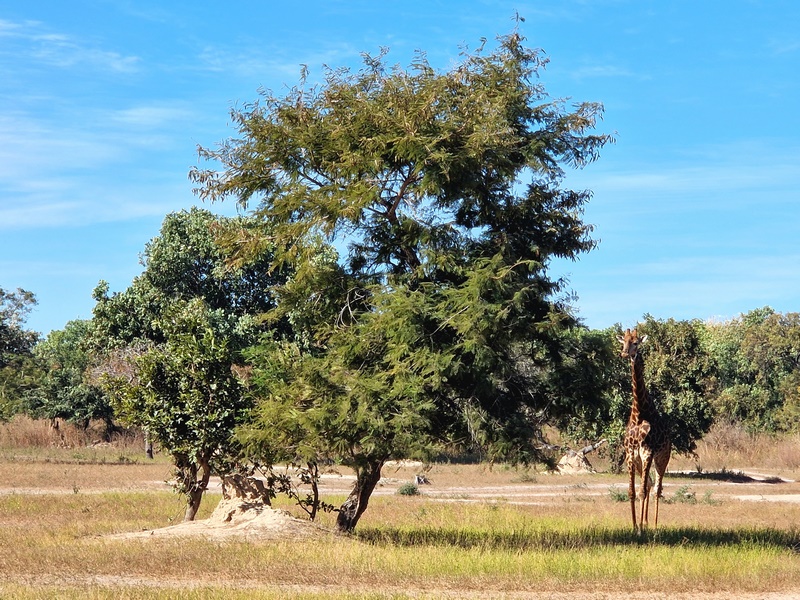 20251225_103425 (Kopiowanie).jpg