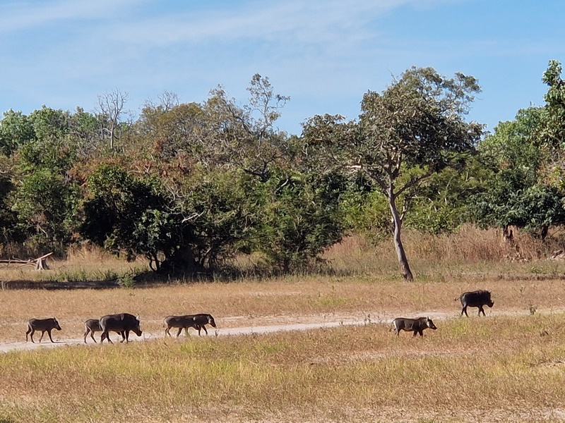 20251225_103458 (Kopiowanie).jpg