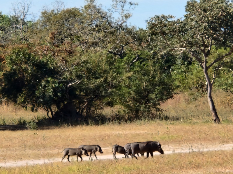 20251225_103503 (Kopiowanie).jpg