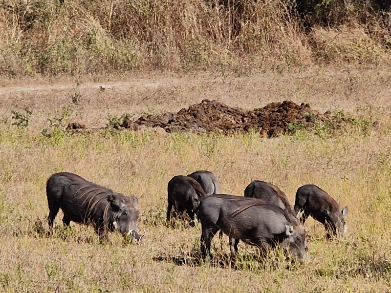 20251225_103837 (Kopiowanie).jpg