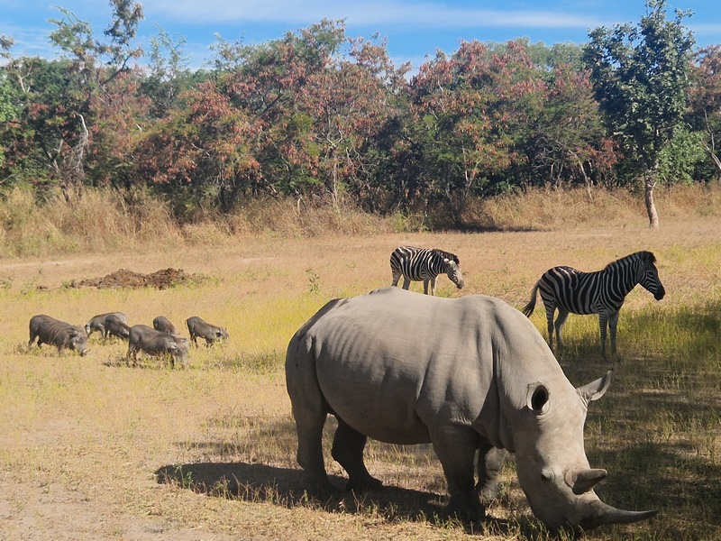 20251225_103845 (Kopiowanie).jpg