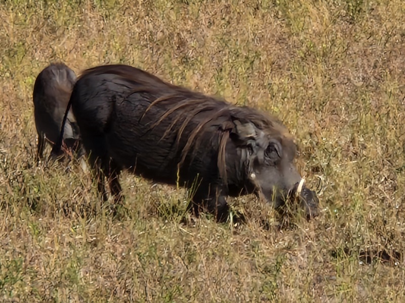 20251225_103914 (Kopiowanie).jpg