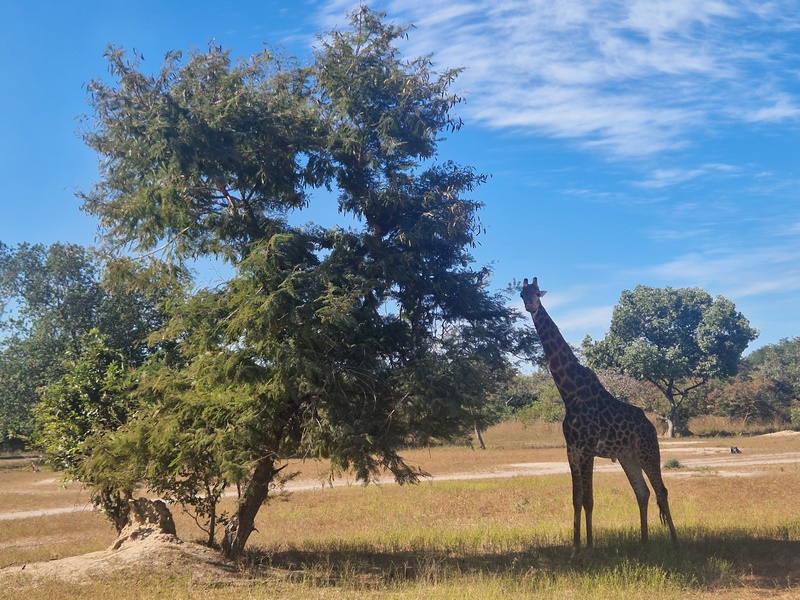 20251225_104020 (Kopiowanie).jpg