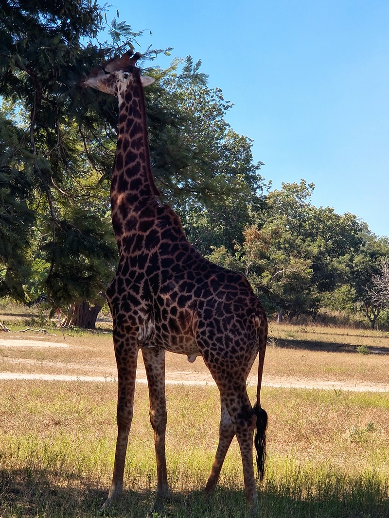 20251225_104057 (Kopiowanie).jpg