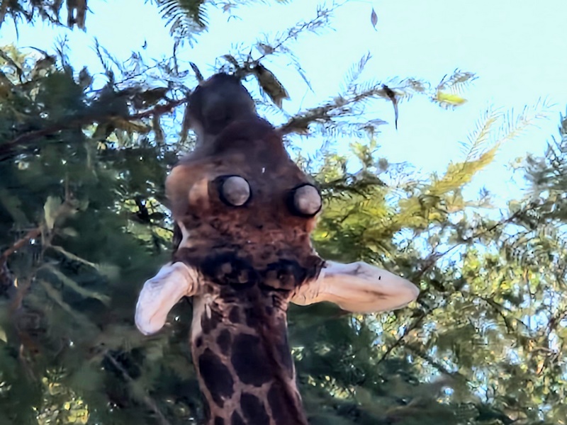 20251225_104116 (Kopiowanie).jpg