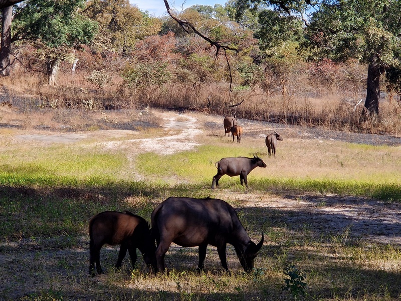 20251225_104951 (Kopiowanie).jpg