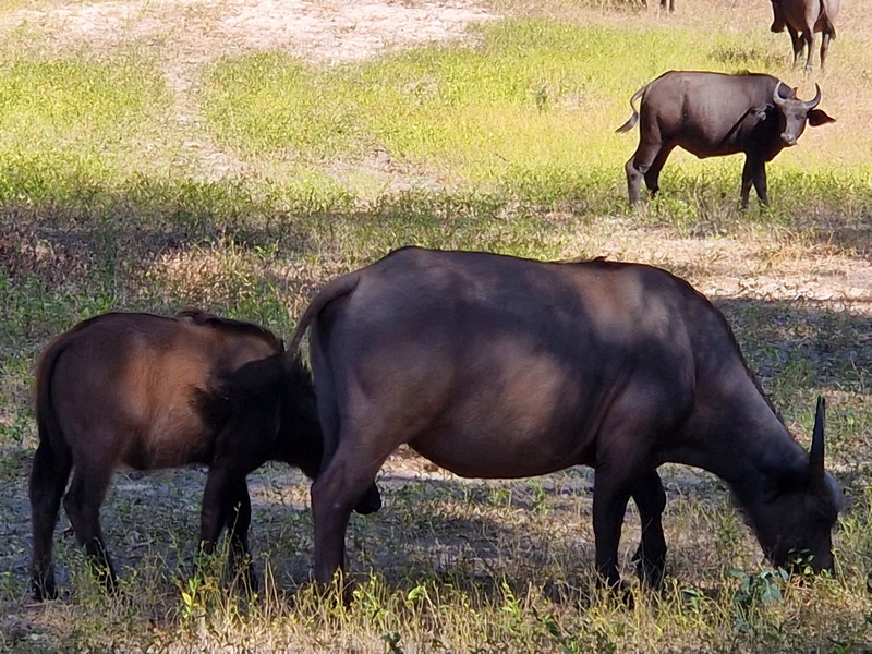 20251225_104958 (Kopiowanie).jpg