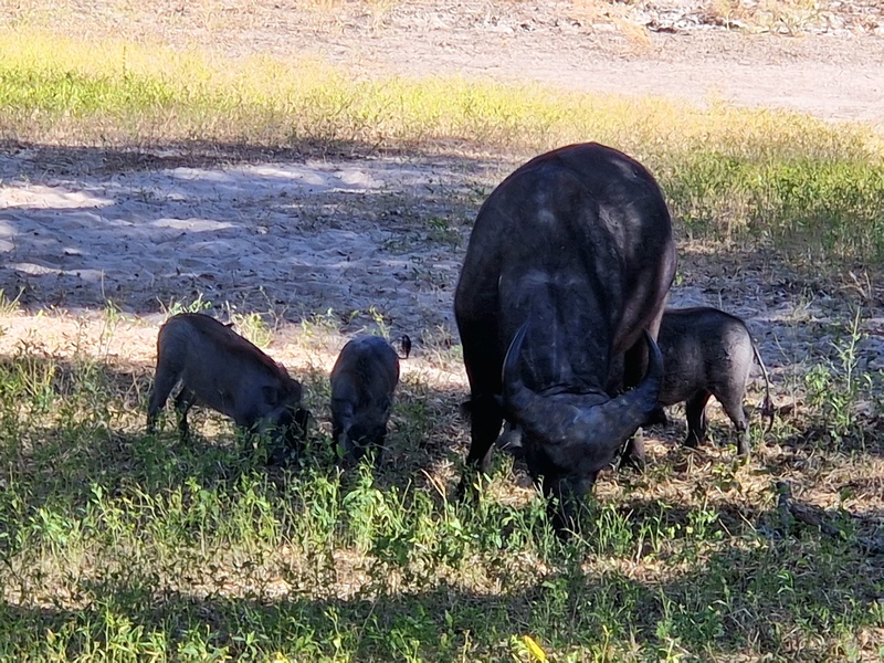 20251225_105031 (Kopiowanie).jpg