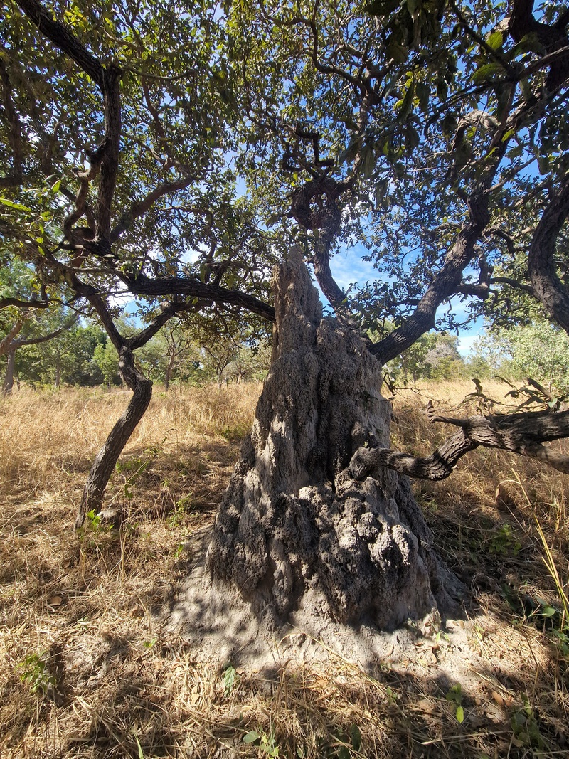 20251225_111403 (Kopiowanie).jpg